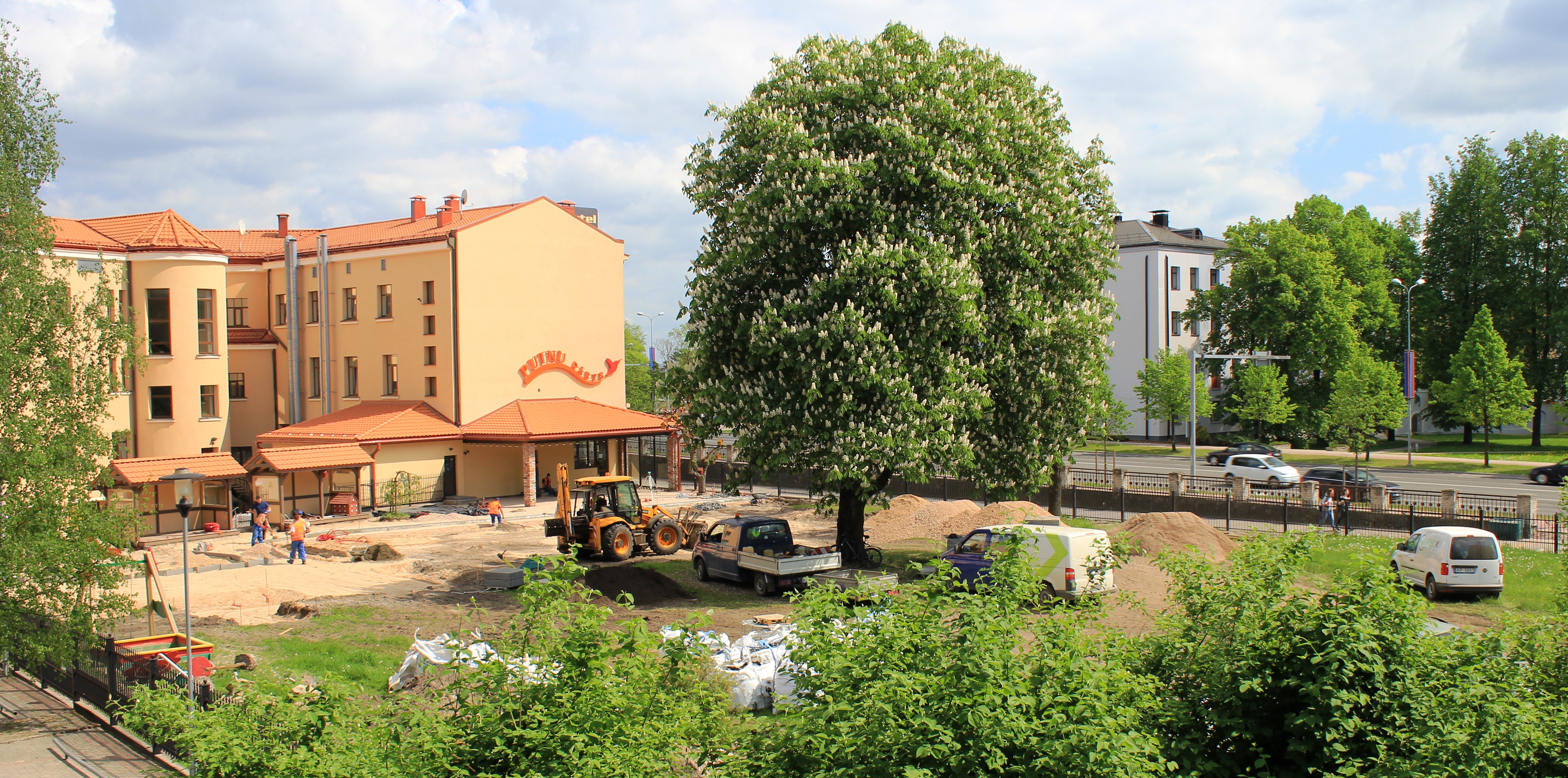 Aculiecinieci Jelgavā satrauc koku postīšana un tehnikas slēpšana zem ziedoša kastaņa - 2