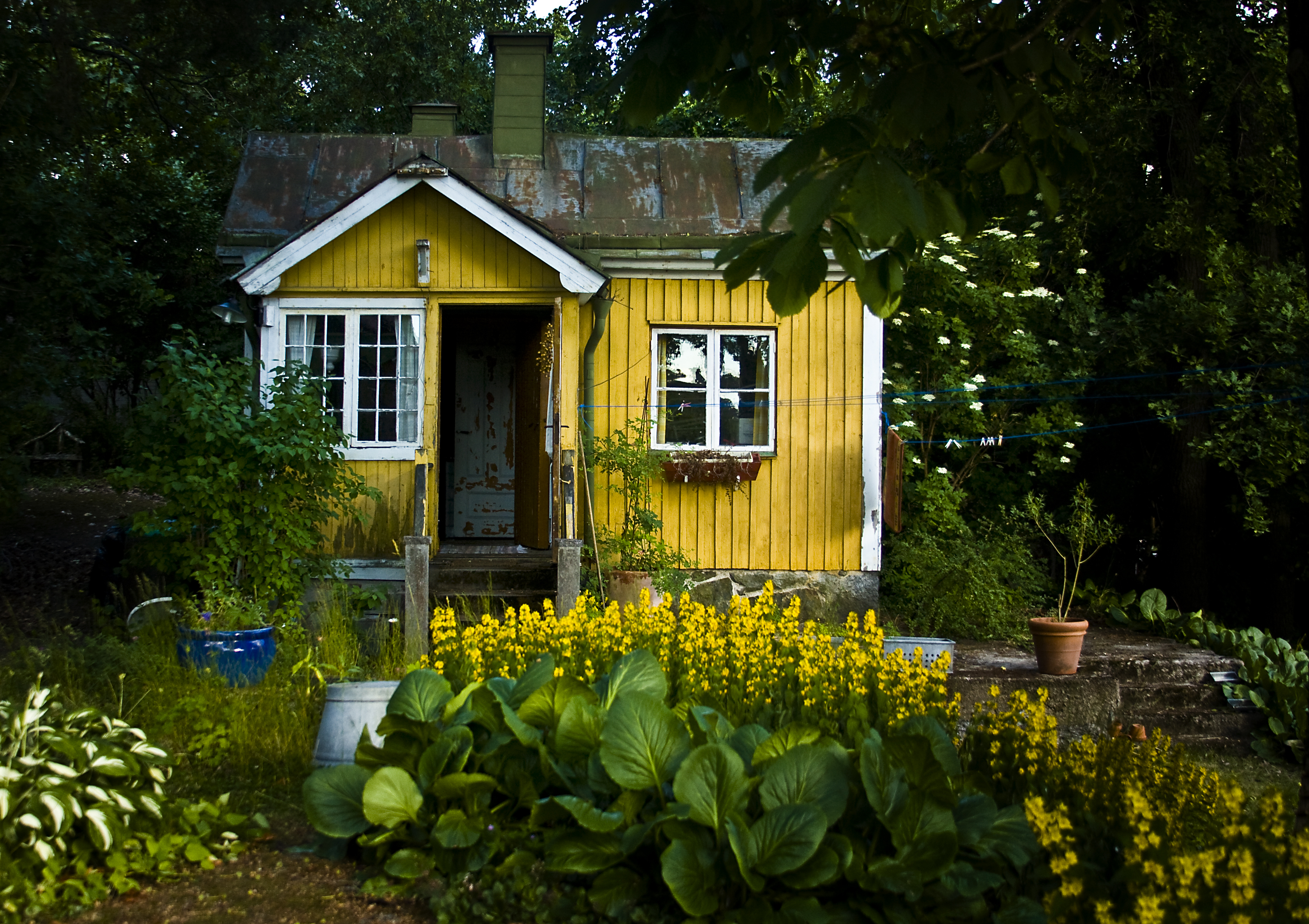 Увлеклась дачей. Дачный домик. Желтый дачный домик. Красивые дачные домики. Дача желтого цвета.